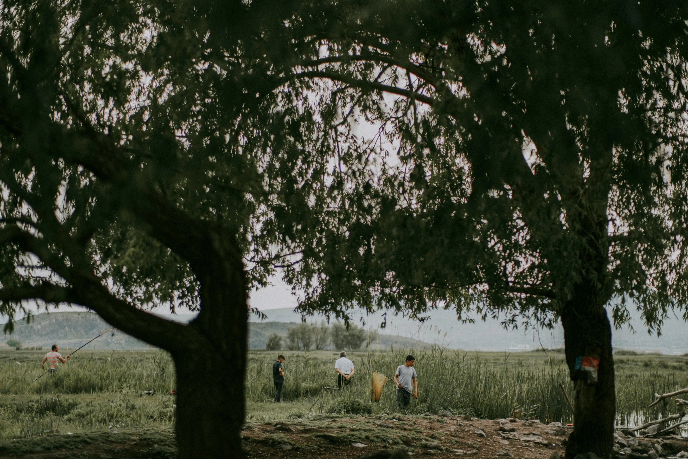 a group of people walking down a grass covered field next to trees