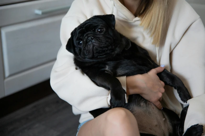 a woman with blonde hair holds a black pug