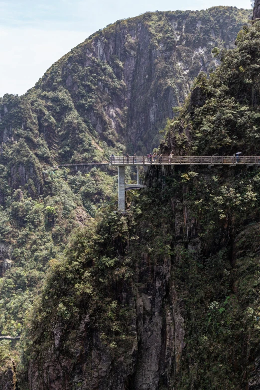 a bridge with a wire above it on a mountain
