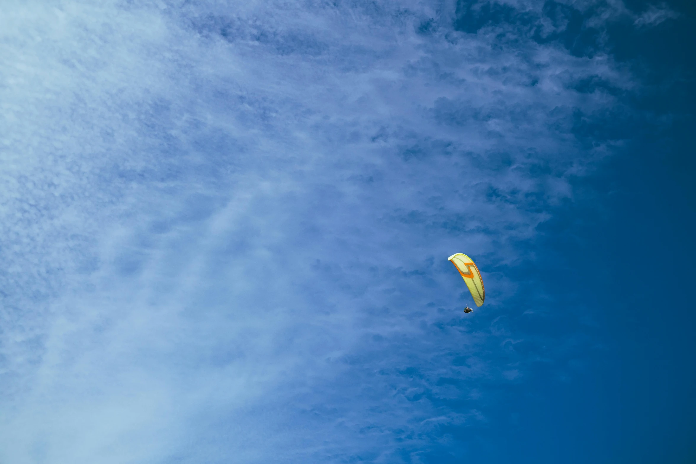 the large kite is in the air above some trees