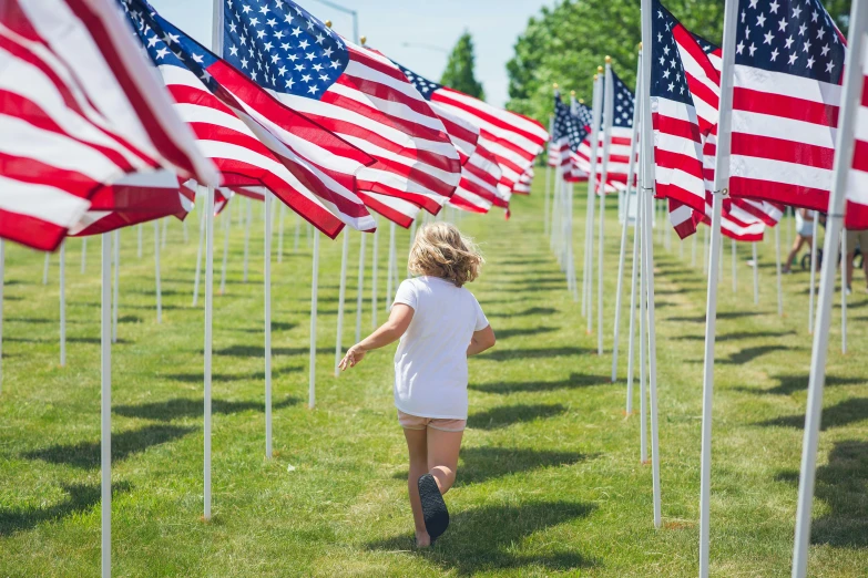 there are many american flags in a field