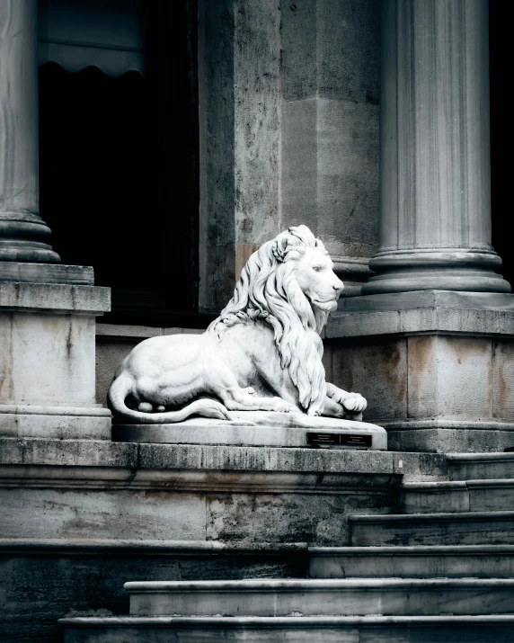 black and white po of a statue of a lion on some steps