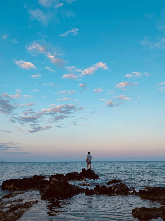 a person standing on a rock with a bird near the water