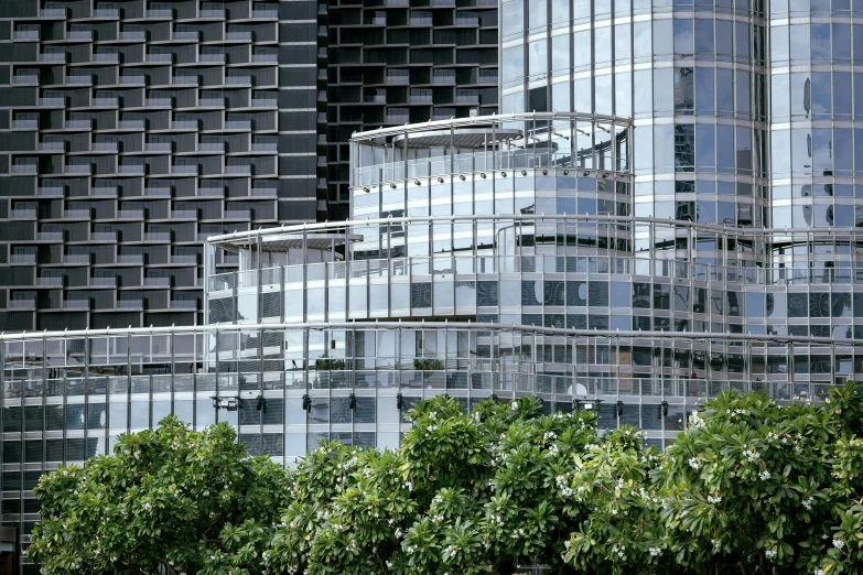 some buildings with windows, trees and one is in front