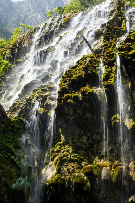 there is a waterfall that has green moss growing on it