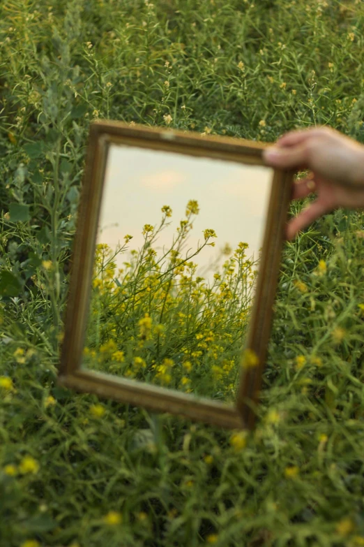 the reflection of a woman's hand holding up a mirror in the grass