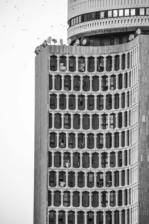 a city building in black and white has a bird flying by