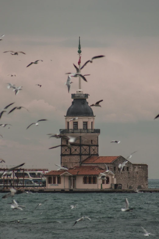 seagulls fly around a building on the shore