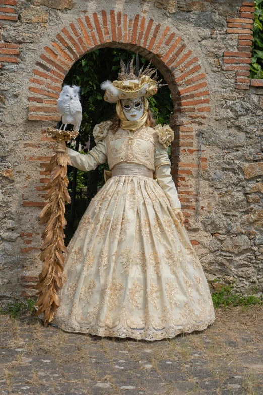 the costumed woman is wearing a bird mask and dress