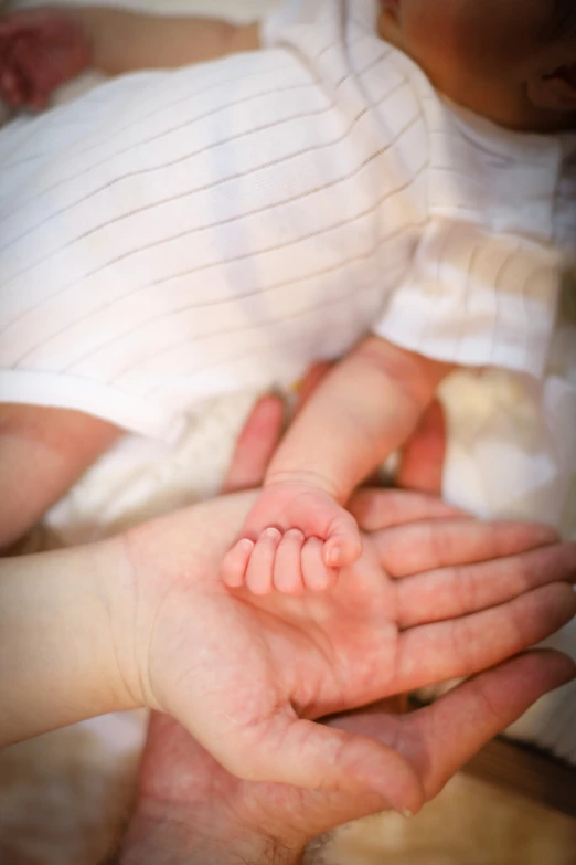 a hand holding a small baby laying on it's back