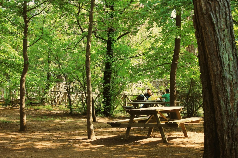 the two people are sitting on the bench in the woods