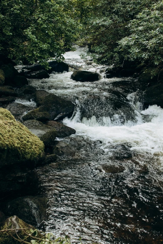 the water is running over rocks in the woods