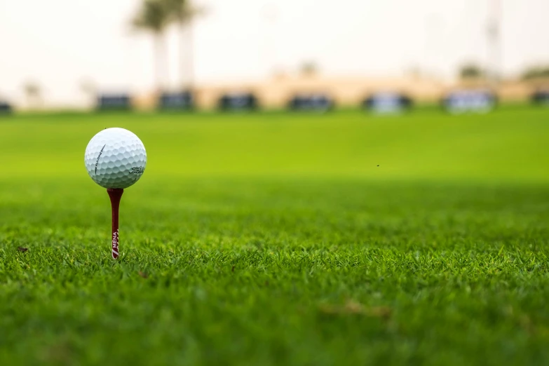 a golf ball resting on a tee in the middle of a grassy field