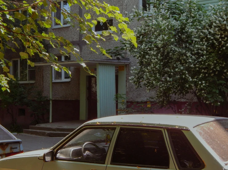 an old car parked next to a tree with some green leaves