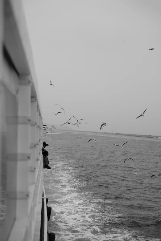 birds flying over the water near the shore