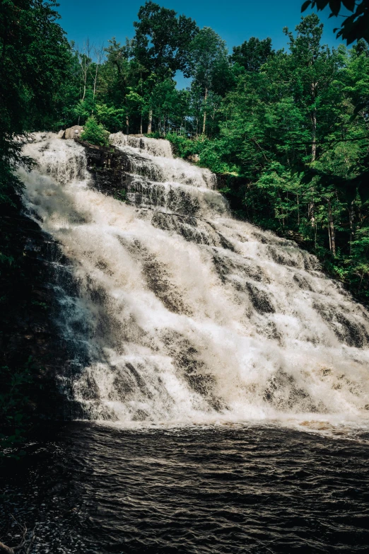 a large waterfall is surrounded by trees in the woods