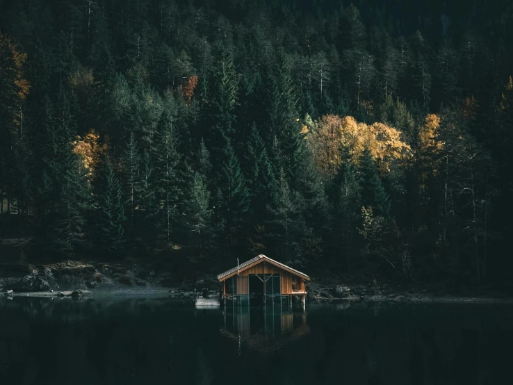 a house on a lake in the middle of forest