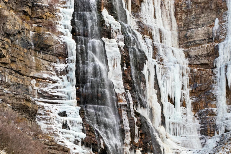 several horses are standing near the ice covered cliff