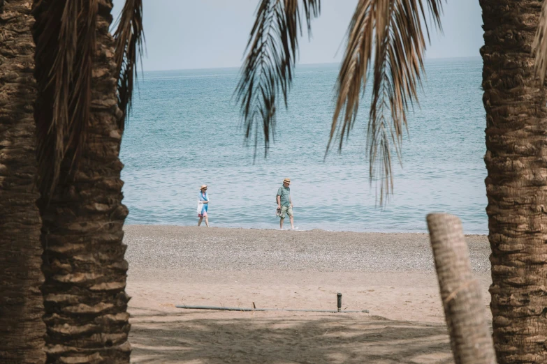 two people walk along the beach in front of trees