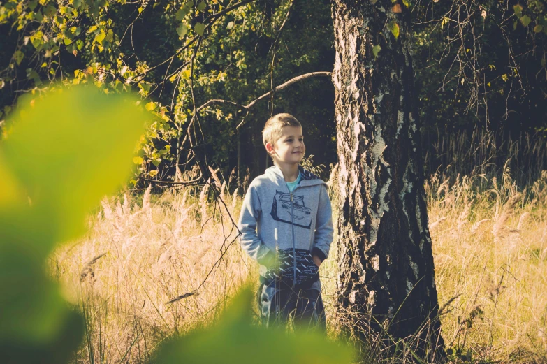 a boy in blue hoodie standing next to tree and field