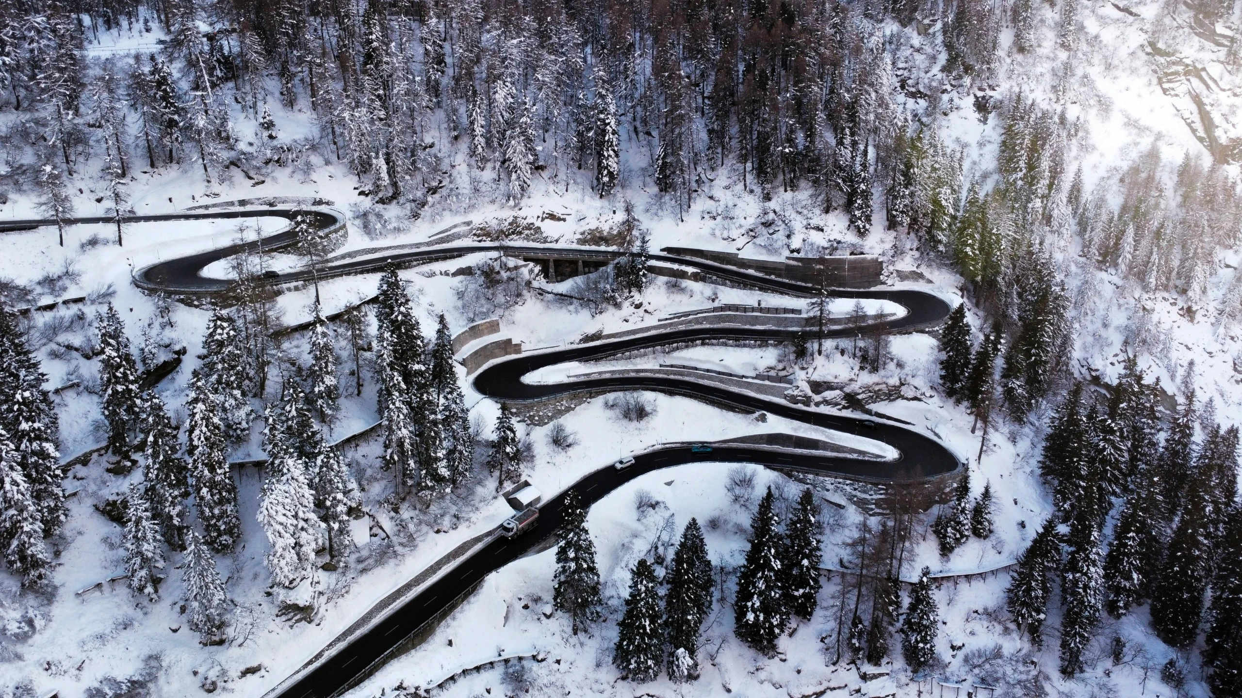 an aerial view of two winding roads near a forest