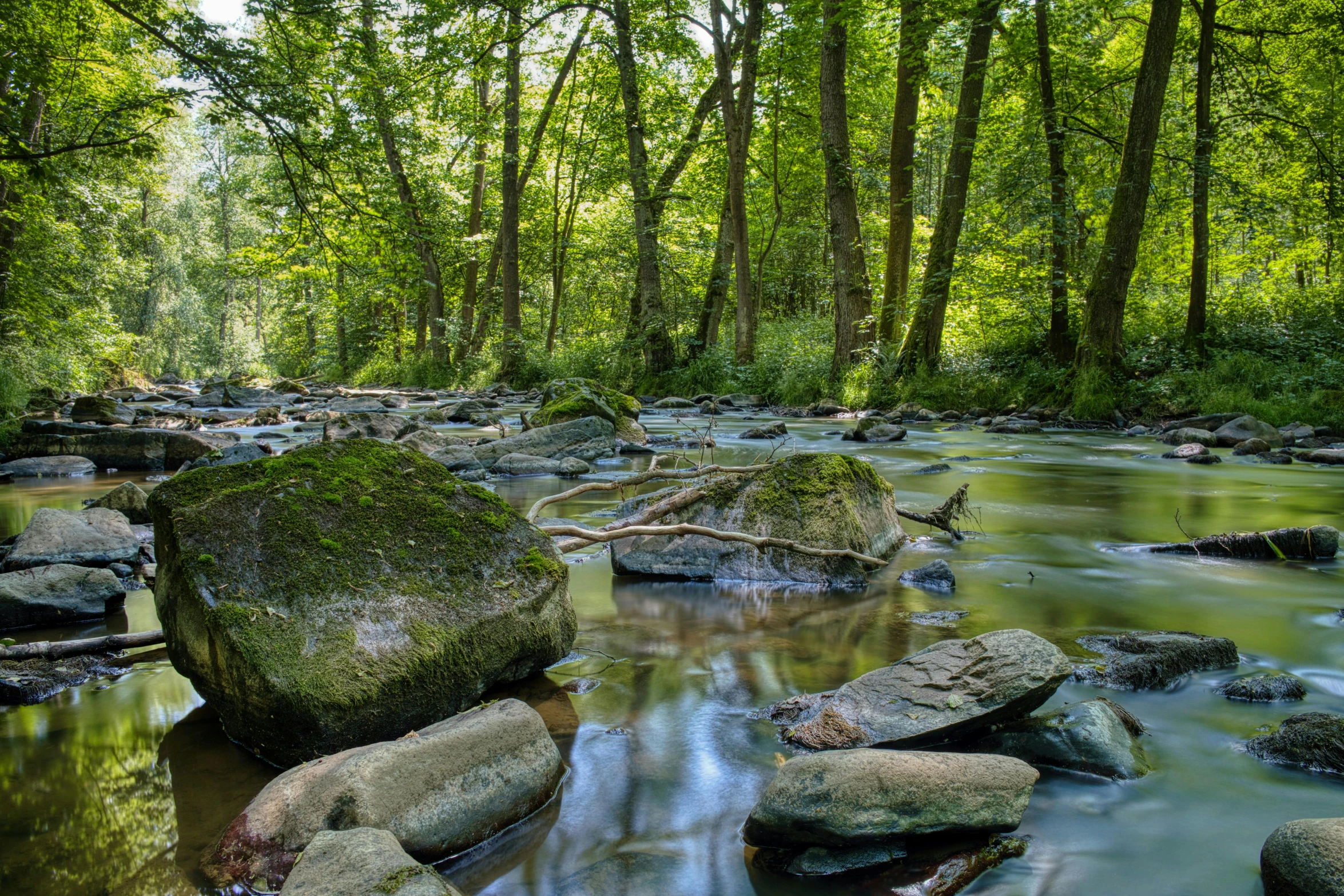 many large rocks near a stream in the woods