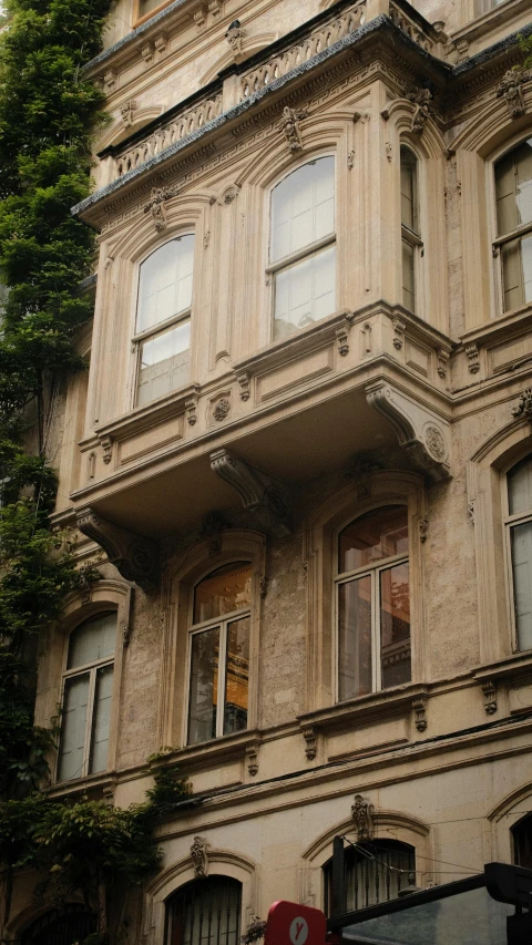 old building with tree growing out of it's windows