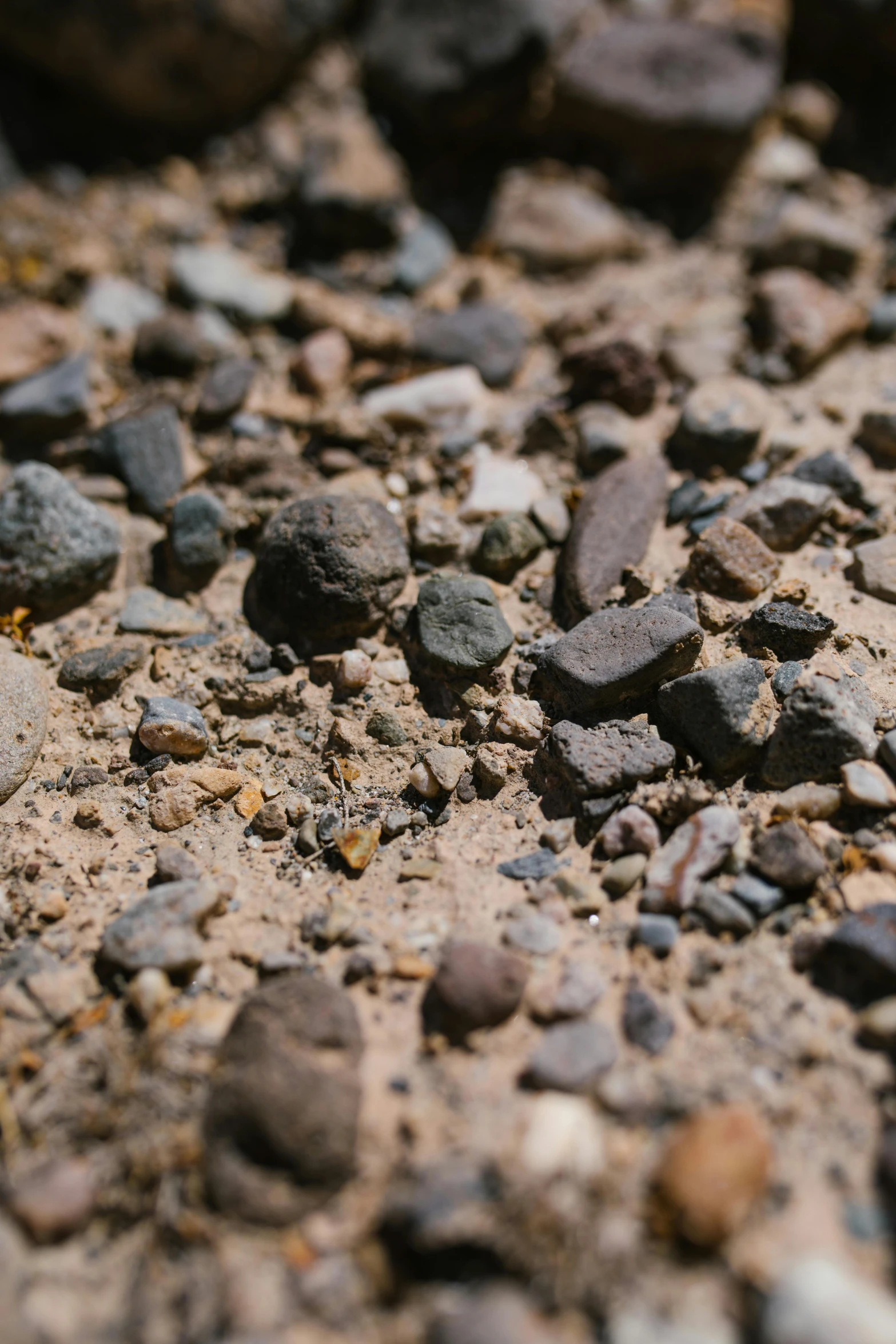 a pile of dirt that is laying on the ground