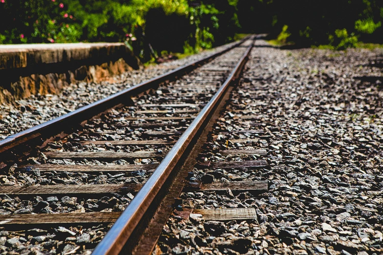 a railroad track near a wooded area with flowers