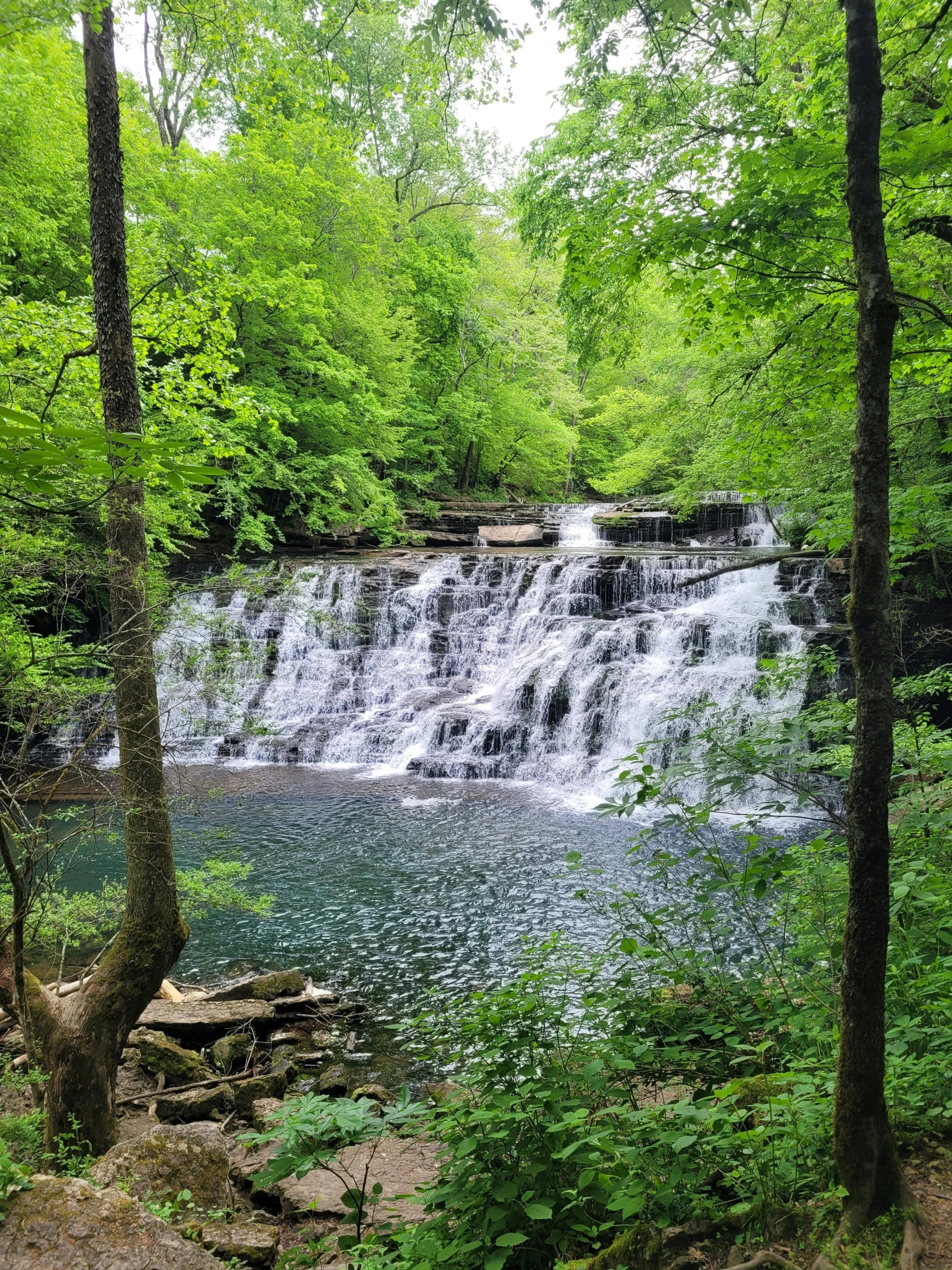 a waterfall in a lush green forest with trees