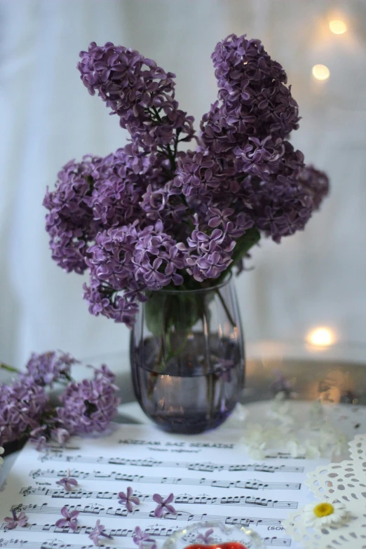 a clear glass vase filled with lavender flowers on a table