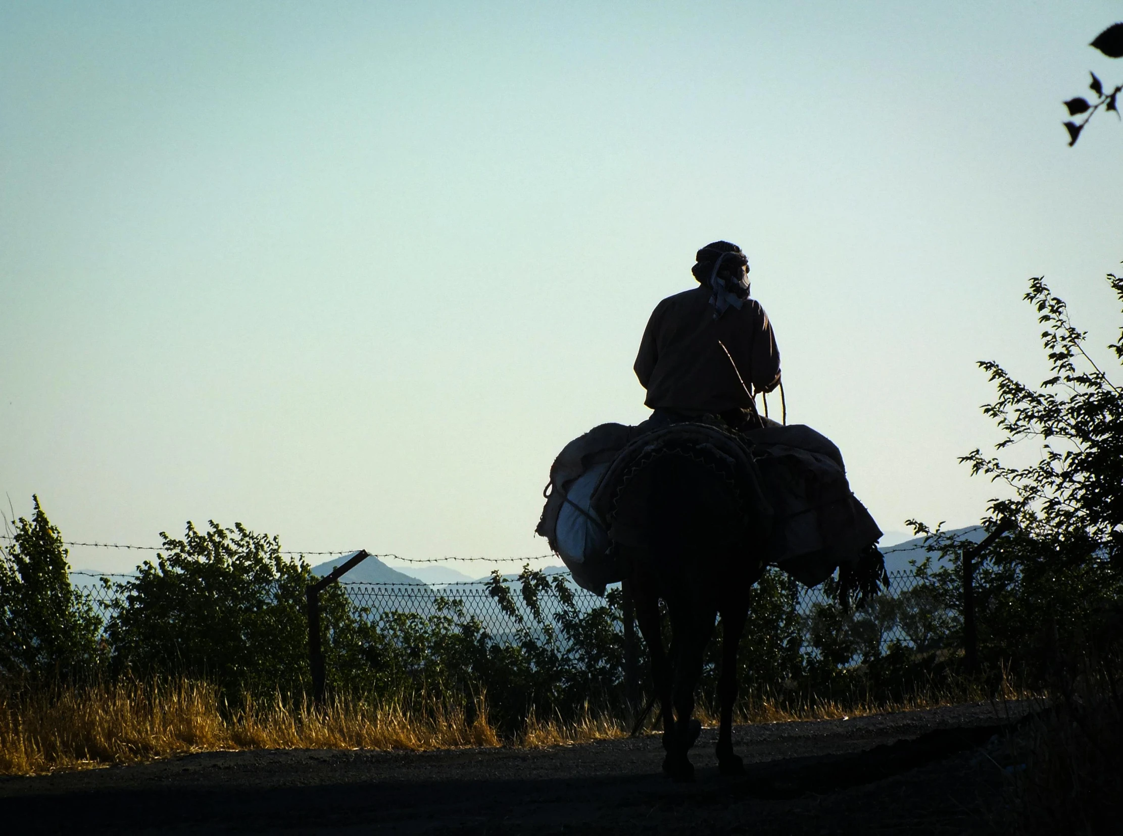 two people are on horses in a field