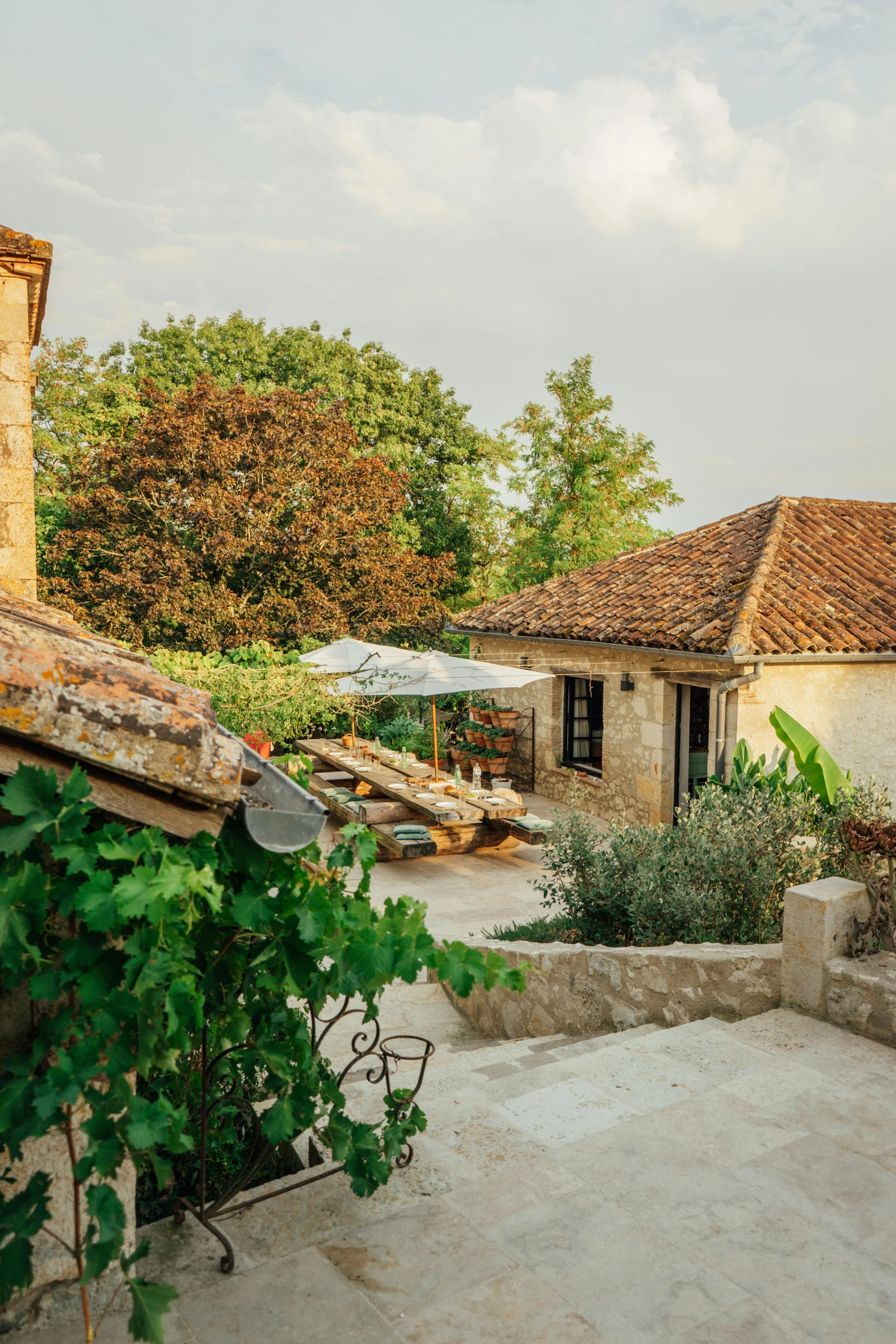 a house sitting on the side of a road near an olive tree