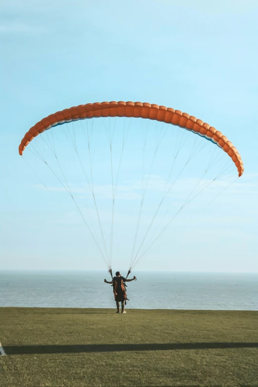 person flying over green grass near ocean on clear day