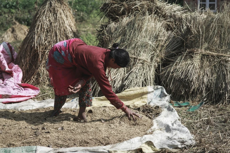 a woman in a field picking grass from the ground