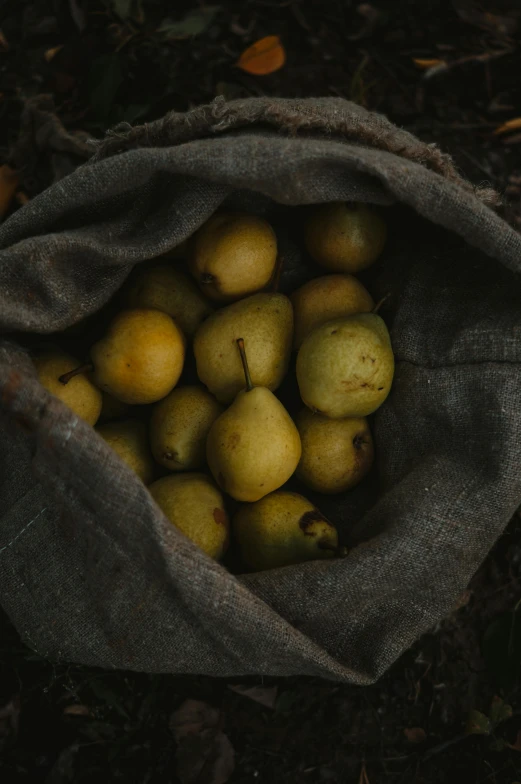 a gray bag filled with lots of yellow apples