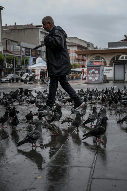 a man walking on the street and many birds around him