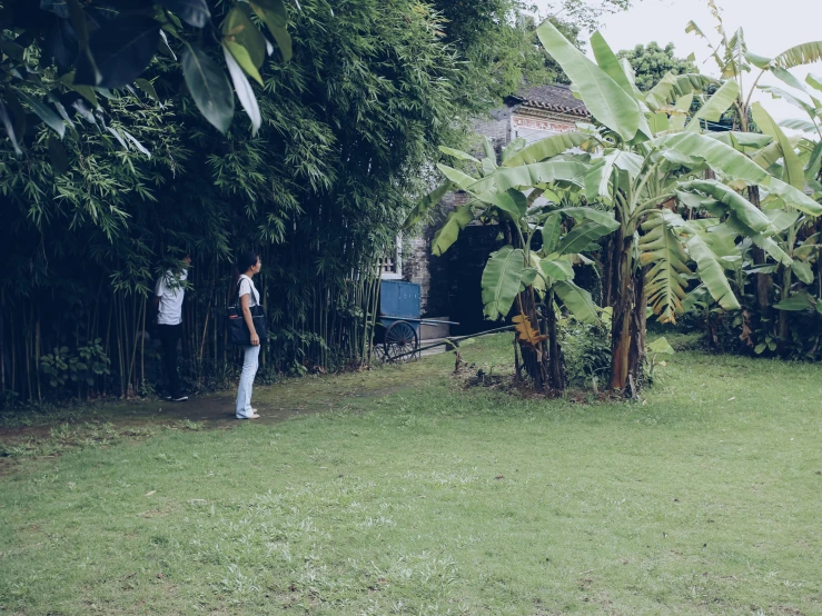 a couple of people walking through a lush green yard