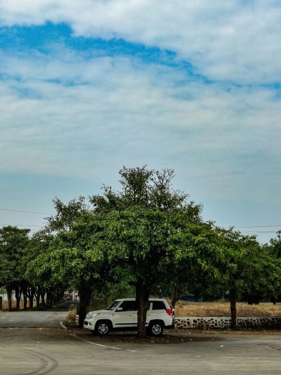 there is a white truck parked under the trees