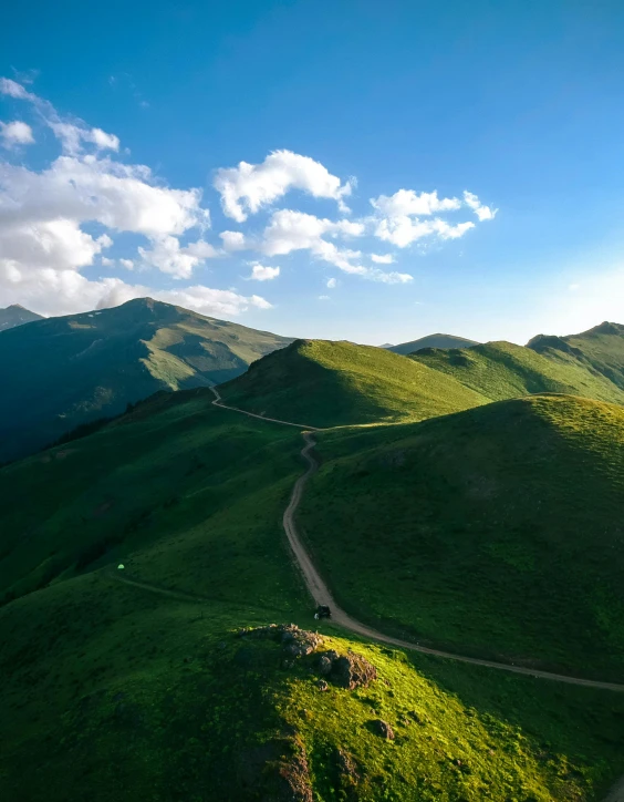 a lush green hillside under a bright blue sky