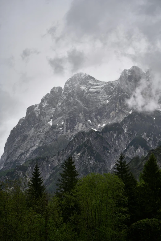 the mountain tops rise very high above the trees