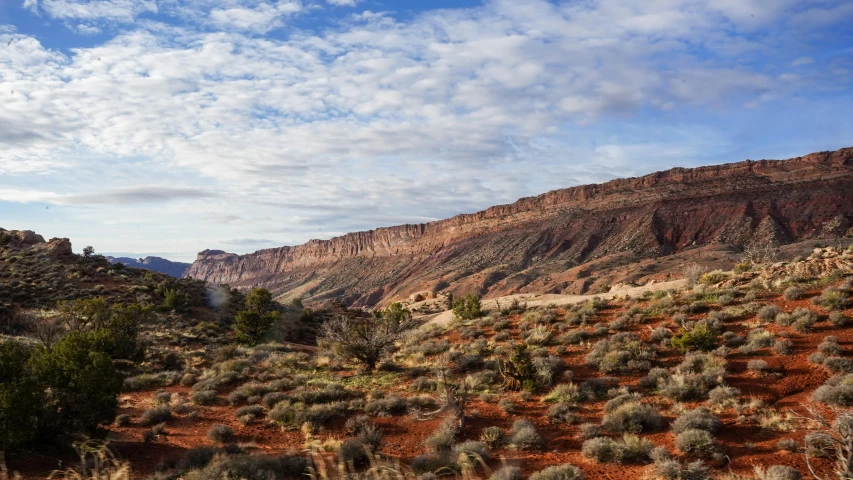 a beautiful, empty area with rocks and vegetation