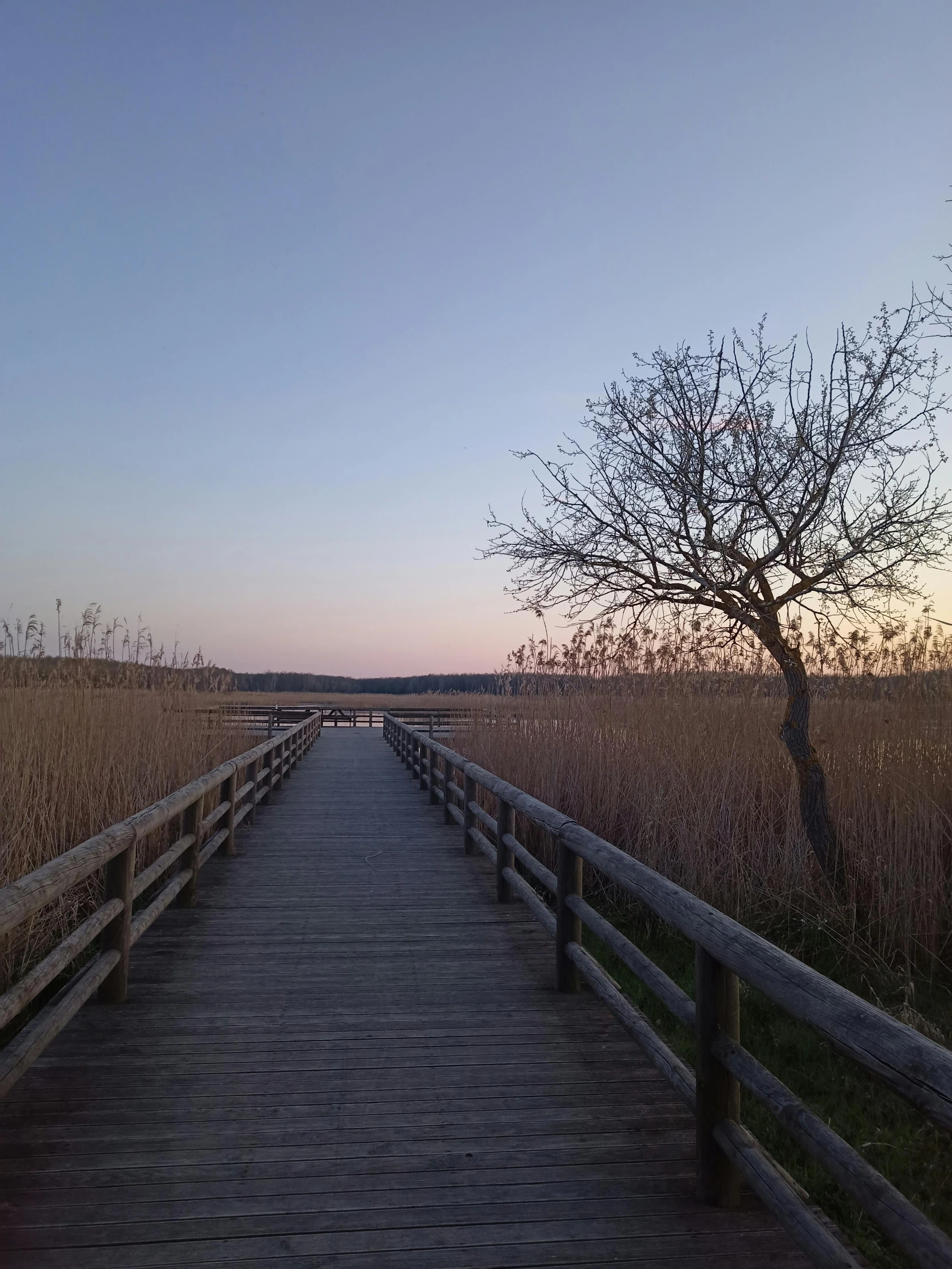 a wooden pathway that goes to a field at dusk