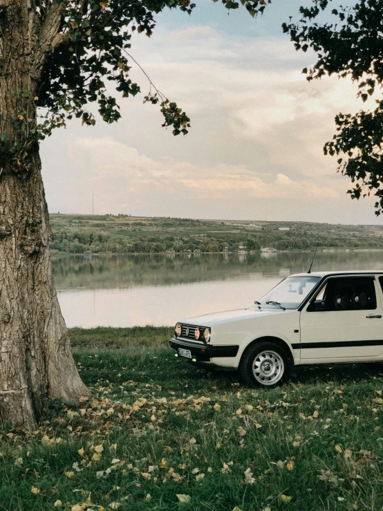 an automobile parked beside a tree on a grassy area near the lake