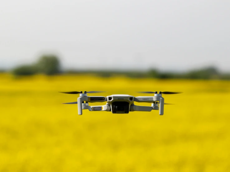 a large field with yellow grass and a small white djro with a camera