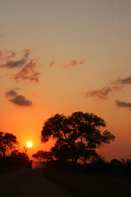 the sun rises over trees on the horizon