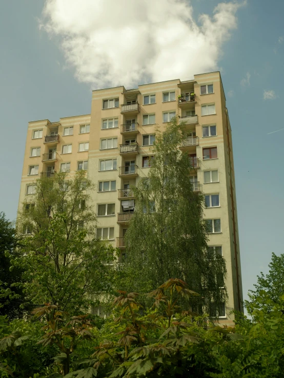 tall building sitting on the corner of a park