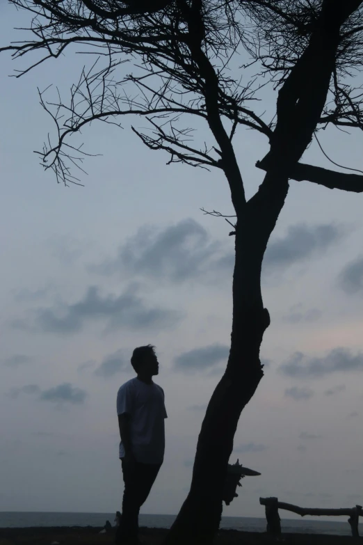 the man is standing next to the tree