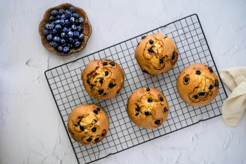 four fresh muffins sitting on a wire rack and blueberries