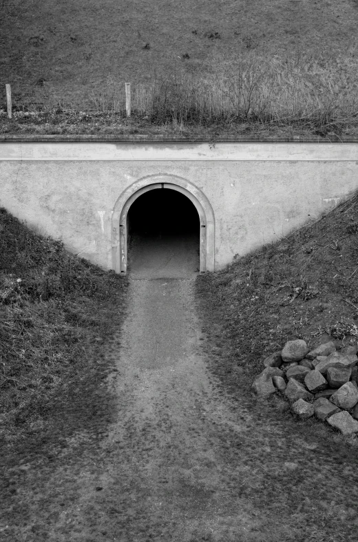 a long walkway going through a tunnel between grass and rocks